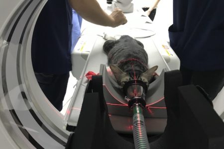VES Hospital CT Scan cat 600x400